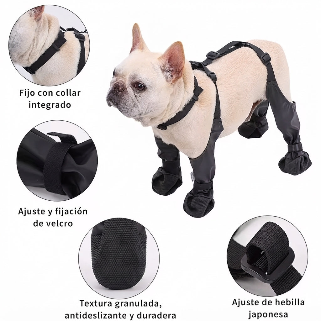 RYVENO PawGuard™