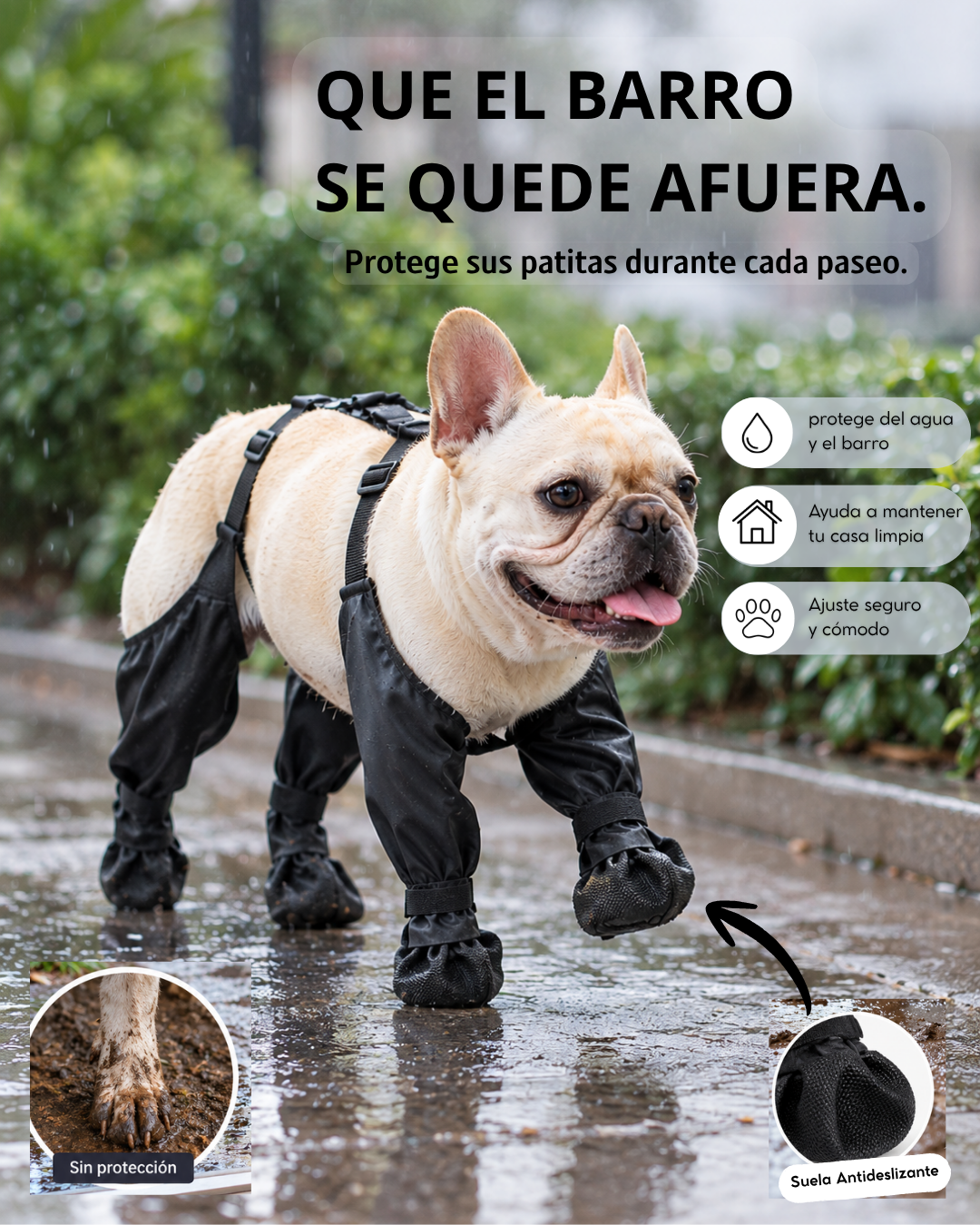 RYVENO PawGuard™