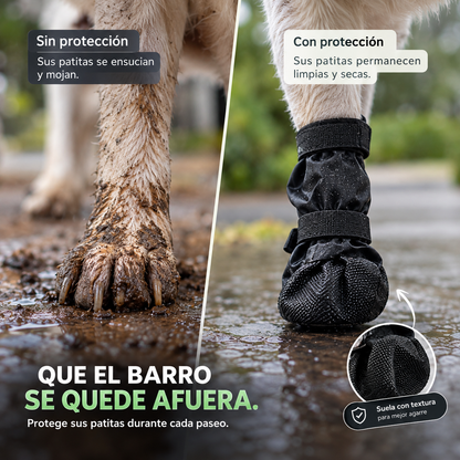 RYVENO PawGuard™